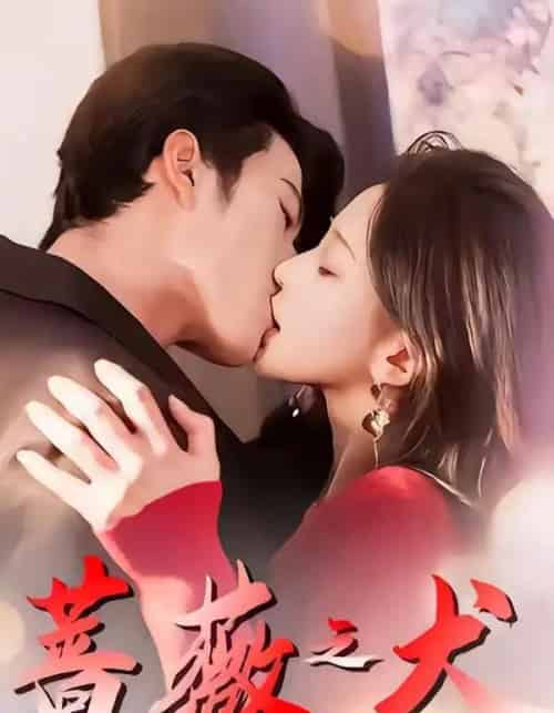 蔷薇之犬（60集全）齐宥澄＆韩录锦-紫橙网创项目网