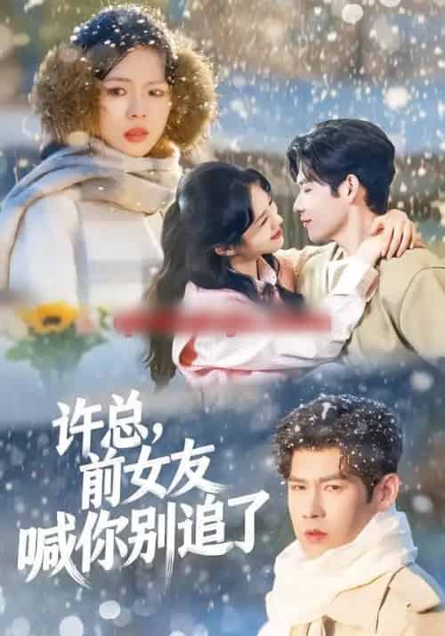 许总，前女友喊你别追了（80集全）王淮璟＆麦伢-紫橙网创项目网