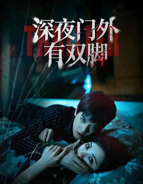 深夜门外有双脚(63集全)阳蕾&张泽渊-紫橙网创项目网