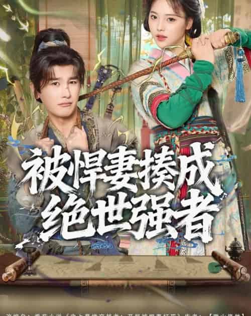 被悍妻揍成绝世强者(80集全)陈奕木&江炘-紫橙网创项目网