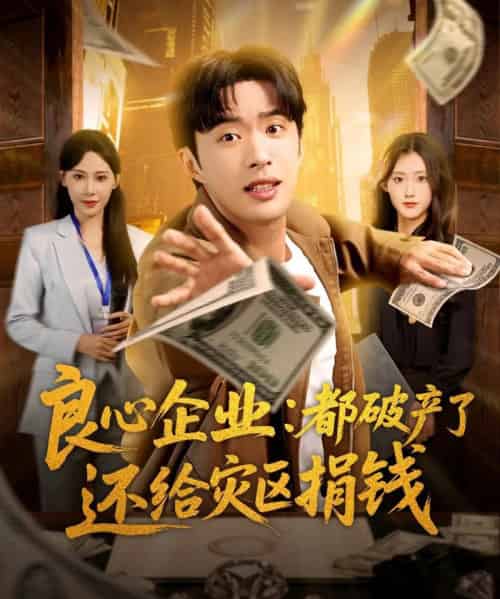 良心企业:都破产了还给灾区捐钱(80集全)姜恺琳&孔奇力-紫橙网创项目网