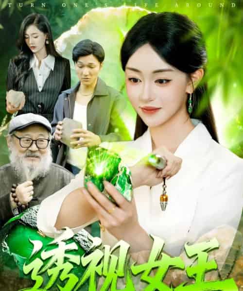 透视女王（123集全）涂鑫艺＆林准-紫橙网创项目网