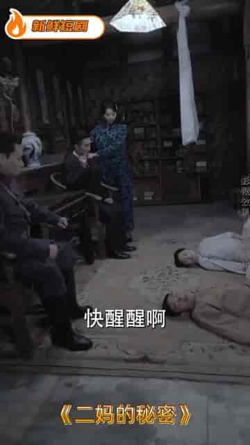二妈的秘密（77集） - 紫橙阁短剧