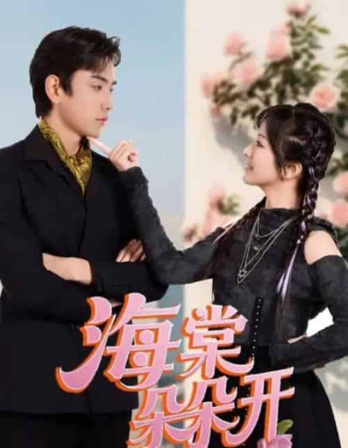 海棠朵朵开（64集全）王子怡＆熊云皓 - 紫橙阁短剧