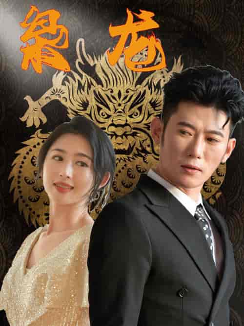 新：枭龙（71集） - 紫橙阁短剧