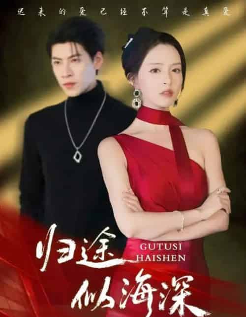 归途似海深（61集全）刘蔓莉＆王为洋-紫橙网创项目网