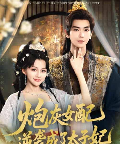 炮灰女配逆袭成了太子妃 炮灰女配逆袭成了太子妃