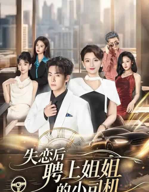 失恋后聘上姐姐的小司机(86集全)陈展博-紫橙网创项目网