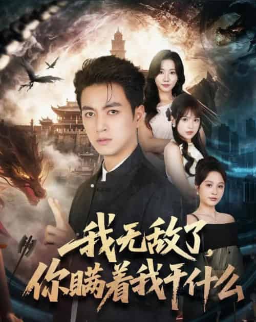 我无敌了,你瞒着我干什么(73集全)鲜嘉臣&文晴-紫橙网创项目网