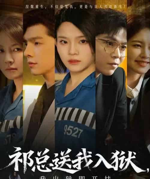 祁总送我入狱，我出狱即开挂（60集全） - 紫橙阁短剧