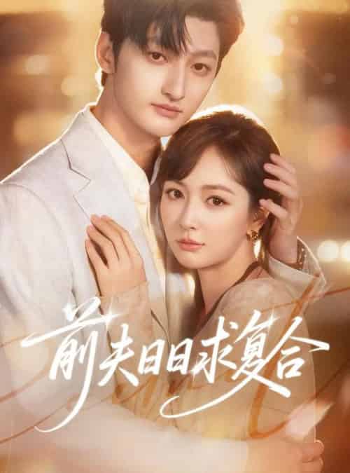 前夫日日求复合 前夫日日求复合