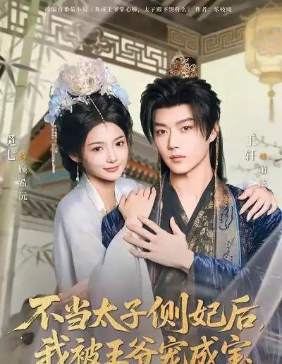 不当太子侧妃后，我被王爷宠成宝（80集全）觅七＆王轩-紫橙网创项目网
