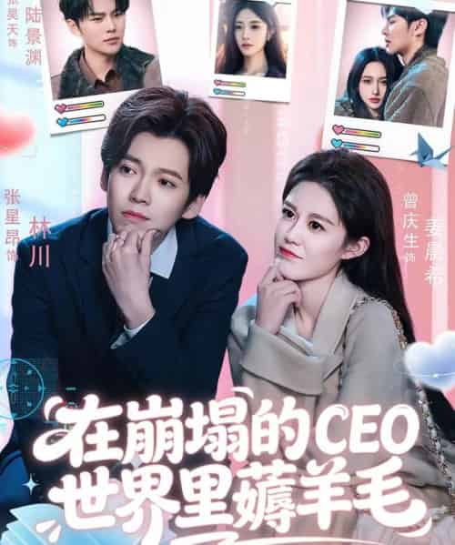 在崩塌的CEO世界里薅羊毛（70集全）张星昂＆曾庆生-紫橙网创项目网