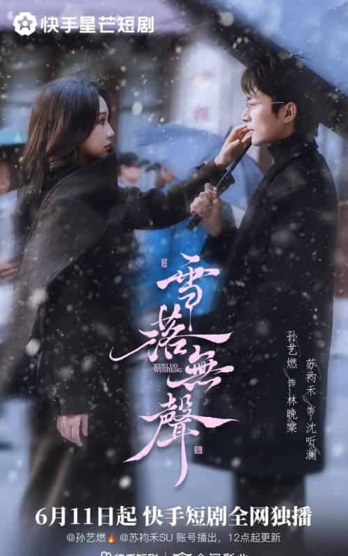 雪落无声（20集全）苏袀禾＆孙艺燃-紫橙网创项目网