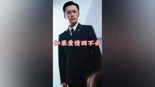 如果爱情回不去（71集） - 紫橙阁短剧