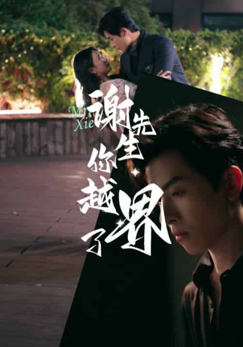 谢先生你越界了（38集全）谢瑾之＆叶可妮 - 紫橙阁短剧