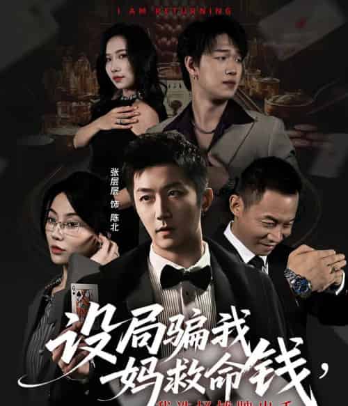 设局骗我妈救命钱，我选择摊牌出手＆封牌时刻（65集全）椿添＆张层层-紫橙网创项目网