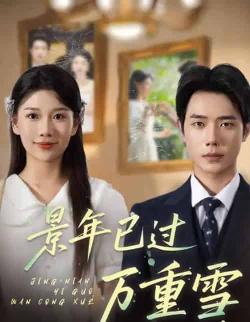 景年已过万重雪 景年已过万重雪