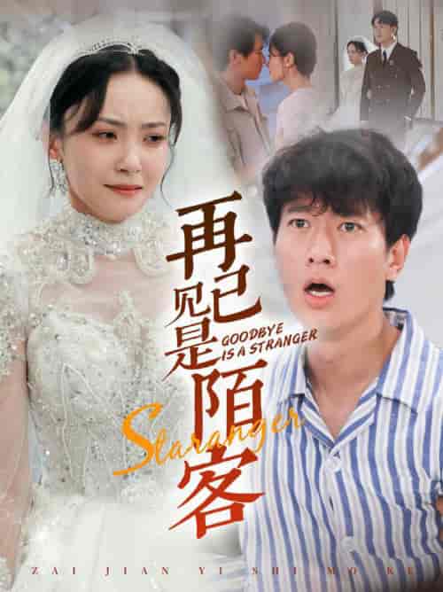 再见已是陌客＆归来的星光（55集全）张子安 - 紫橙阁短剧
