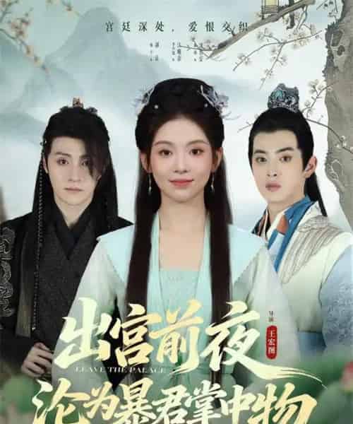 出宫前夜沦为暴君掌中物（57集全）李汐溦＆强宇-紫橙网创项目网