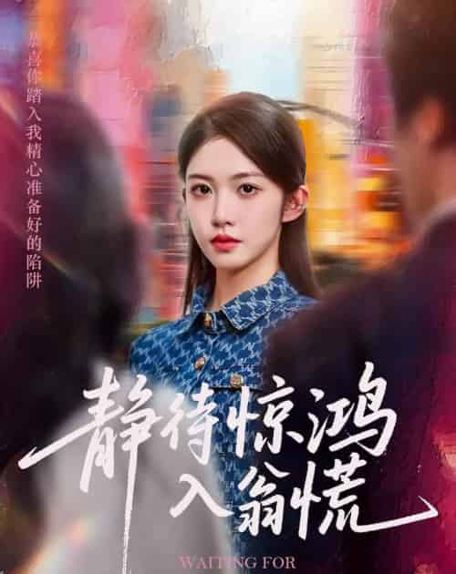 静待惊鸿入翁慌（40集）陈雷雷＆吴毅非 - 紫橙阁短剧