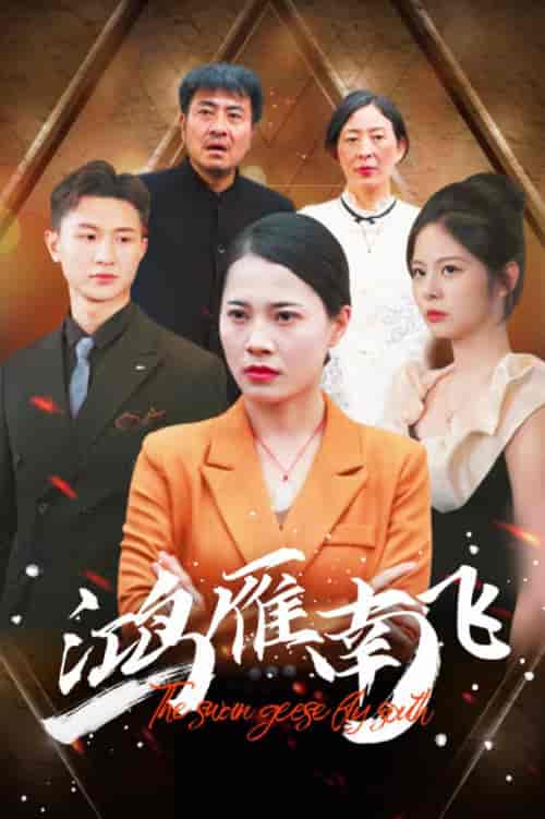 鸿雁南飞（64集） - 紫橙阁短剧