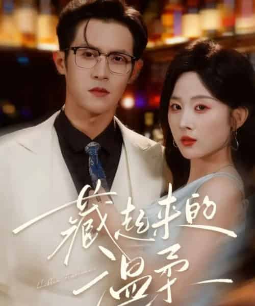 藏起来的温柔（75集全）邵之鹏＆阮思瑶-紫橙网创项目网