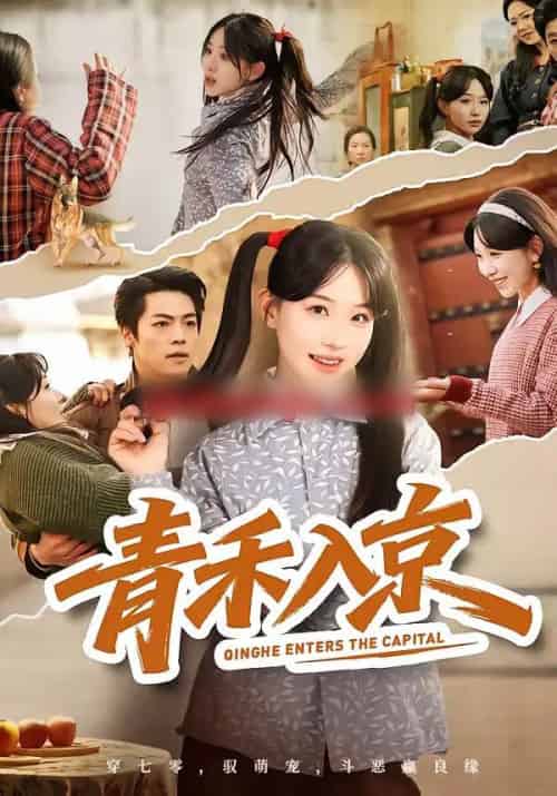 青禾入京 青禾入京