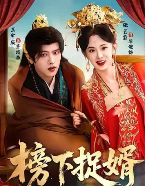 榜下捉婿 榜下捉婿