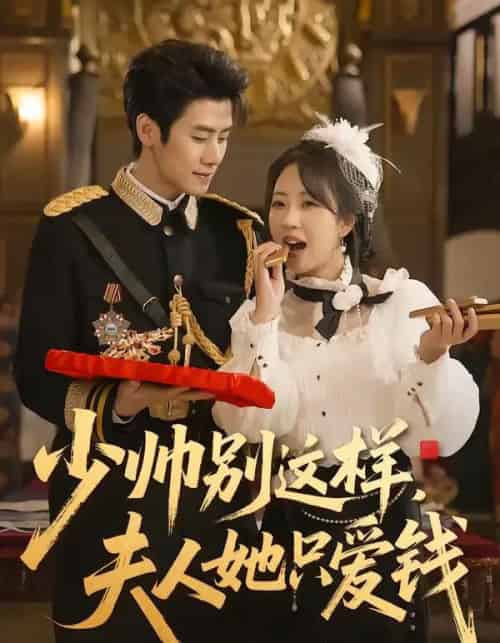 少帅别这样，夫人她只爱钱（100集全）霍星宇＆彭丹丹-紫橙网创项目网