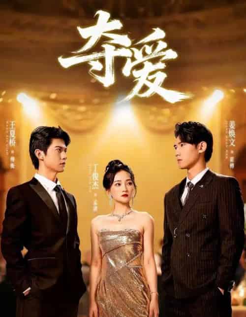 夺爱(55集全)丁俊杰&姜焕文-紫橙网创项目网