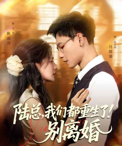 陆总，我们都重生了！别离婚（79集）冯铭潮＆陈露茜 - 紫橙阁短剧