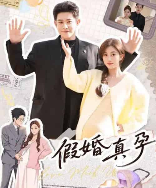 假婚真孕（70集全）王朝阳＆鲍治玥-紫橙网创项目网