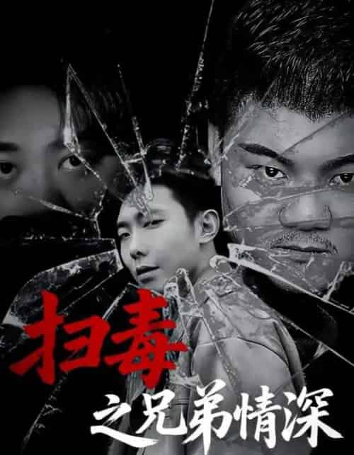 扫毒之兄弟情深 扫毒之兄弟情深