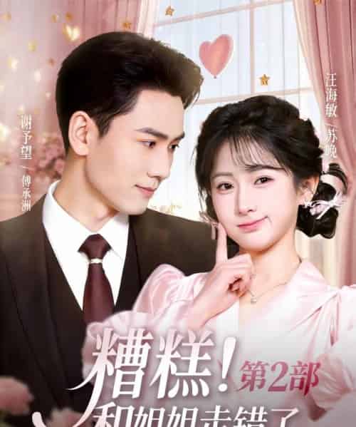 糟糕！和姐姐走错了第2部（80集全）谢予望＆汪海敏-紫橙网创项目网