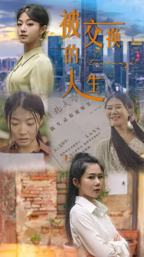 被交换的人生（37集）-紫橙网创项目网