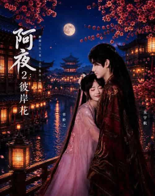 阿夜:彼岸花(60集全)吴宇航&章龄之-紫橙网创项目网