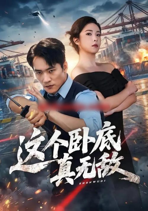 这个卧底真无敌(63集全)朱新辉&阳蕾-紫橙网创项目网