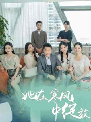 她在寒风中绽放 她在寒风中绽放