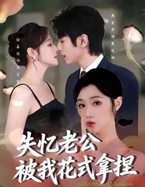 失忆老公被我花式拿捏(86集全)周宣齐&徐嘉佳-紫橙网创项目网