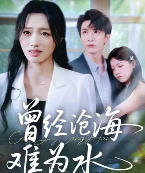 曾经沧海难为水（60集全）韩旭＆王梦佳-紫橙网创项目网