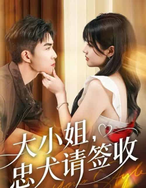 大小姐，忠犬请签收（61集全）曹千祎＆关丁弋-紫橙网创项目网