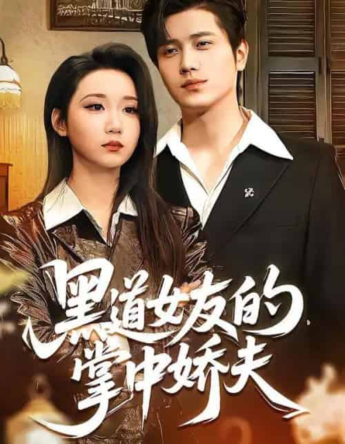 黑道女友的掌中娇夫（100集全）姜腾＆林千仟（林十八）-紫橙网创项目网