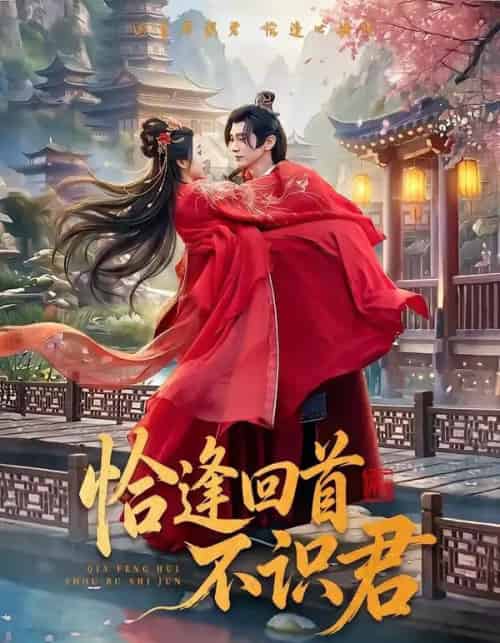 恰逢回首不识君(72集全)郭昊钧&张予晴-紫橙网创项目网