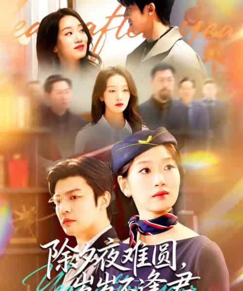 除夕夜难圆，岁岁不逢君（79集全）麦童＆李星霖-紫橙网创项目网