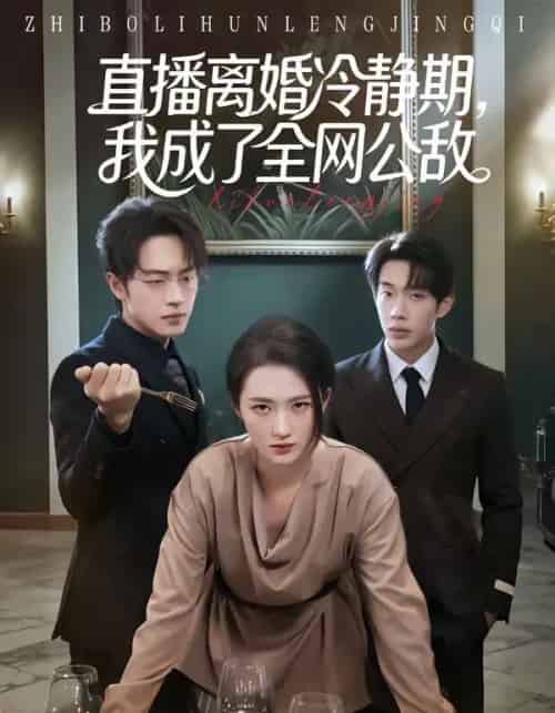 直播离婚冷静期，我成了全网公敌（70集全）于斯年＆江潼 - 紫橙阁短剧