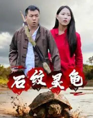 石纹灵龟 石纹灵龟