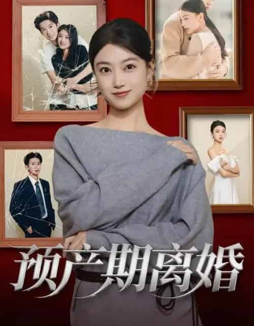 预产期离婚（72集全）陈奕汐＆项泰诚-紫橙网创项目网