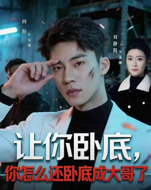 让你卧底,你怎么还卧成大哥了(80集全)向阳公主&刘静阳-紫橙网创项目网