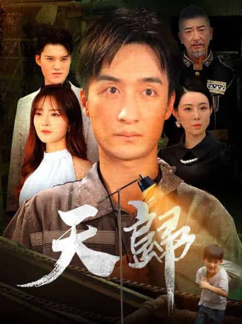 天歸（96集全）林天＆孟盛瑛 - 紫橙海外短剧